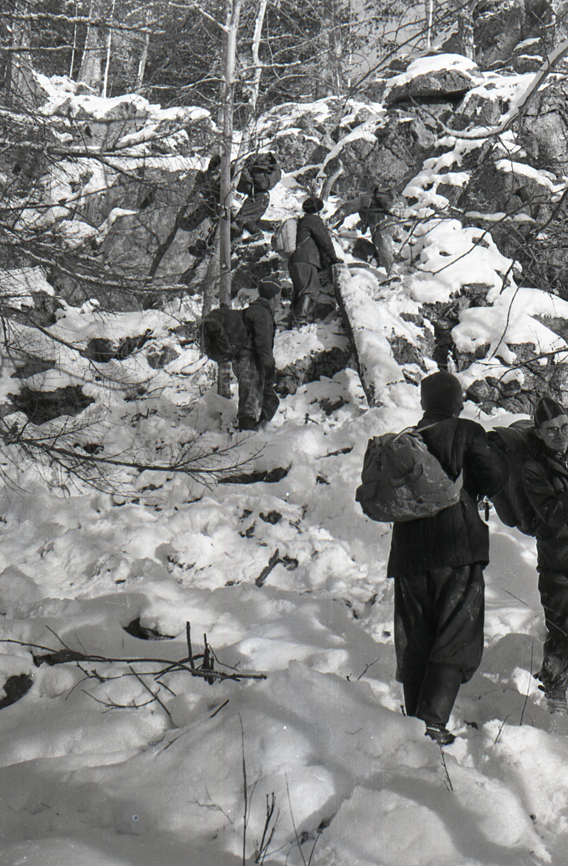 Группа перевала Дятлова 1959